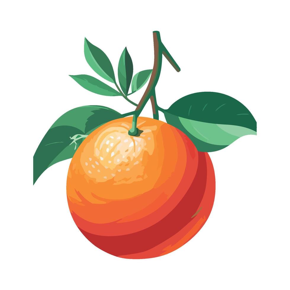 Fresh citrus fruit on green leaf branch isolated vector