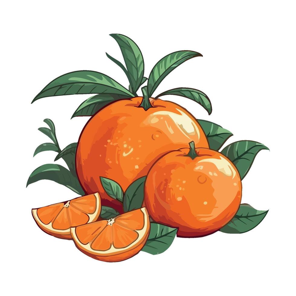 Fresh citrus fruits orange, ripe and juicy slices icon isolated vector