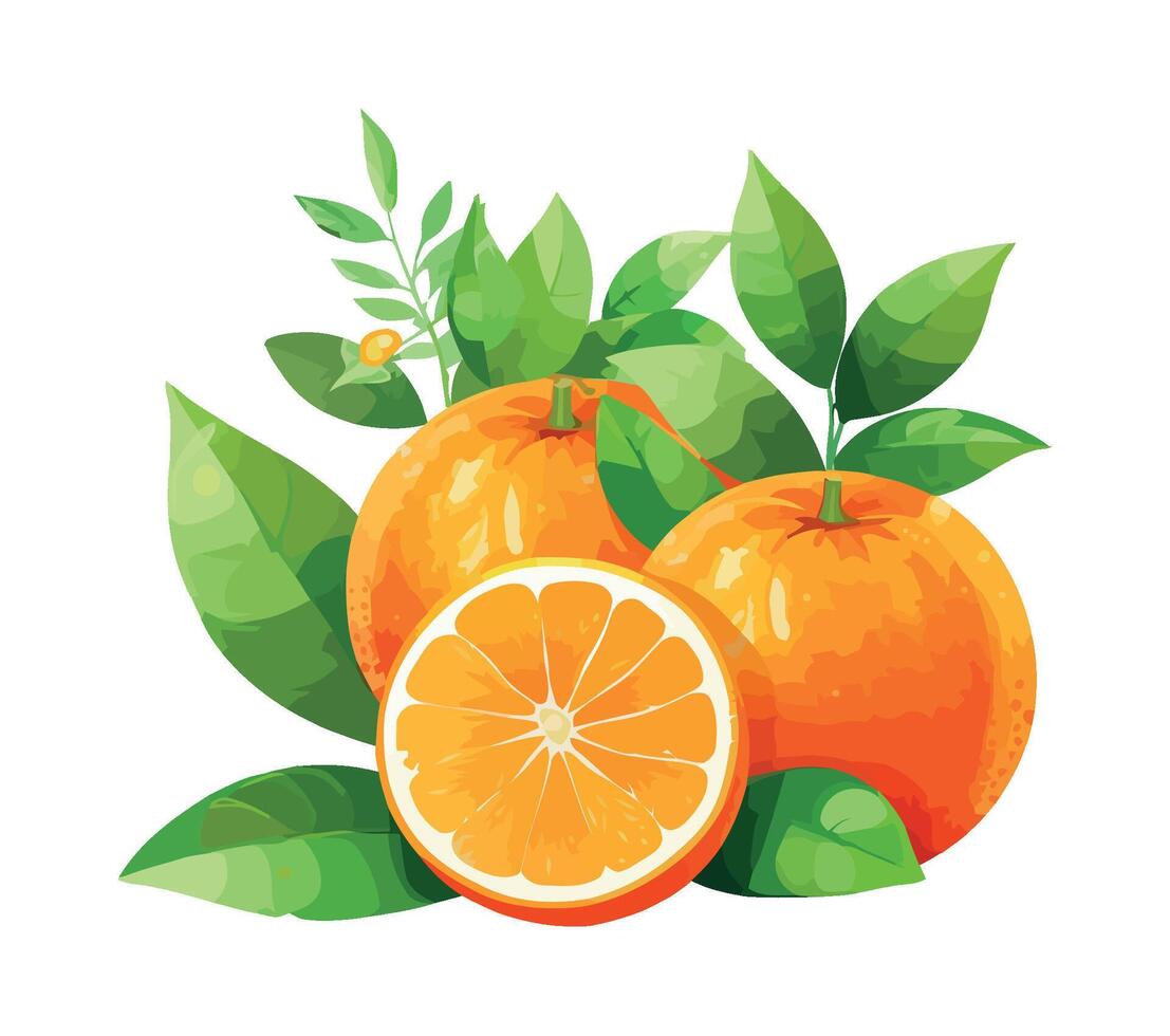 Fresh citrus fruits, ripe and juicy isolated icon vector