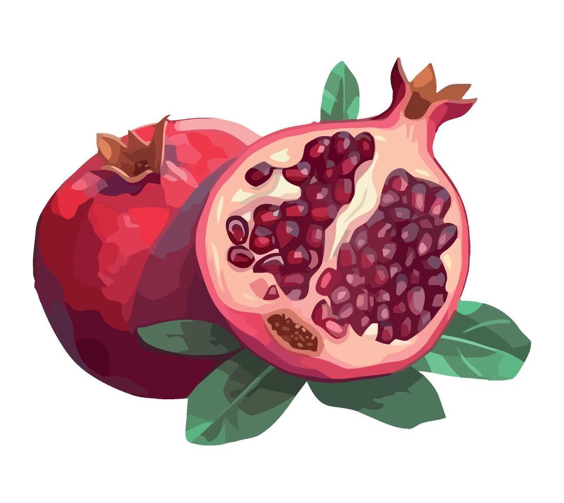 Ripe pomegranate slice, fresh and juicy fruit icon isolated vector