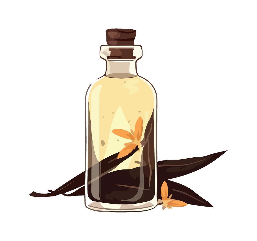 Vanilla Bean Extract Vector Art, Icons, and Graphics for Free Download