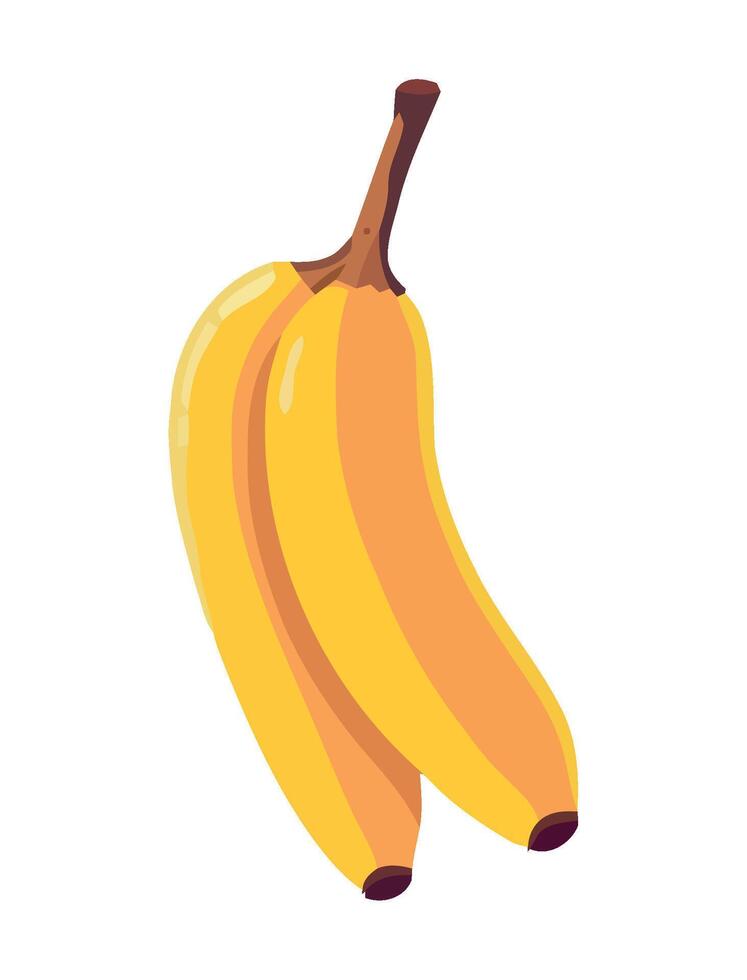 fresh tropical fruit banana icon isolated vector