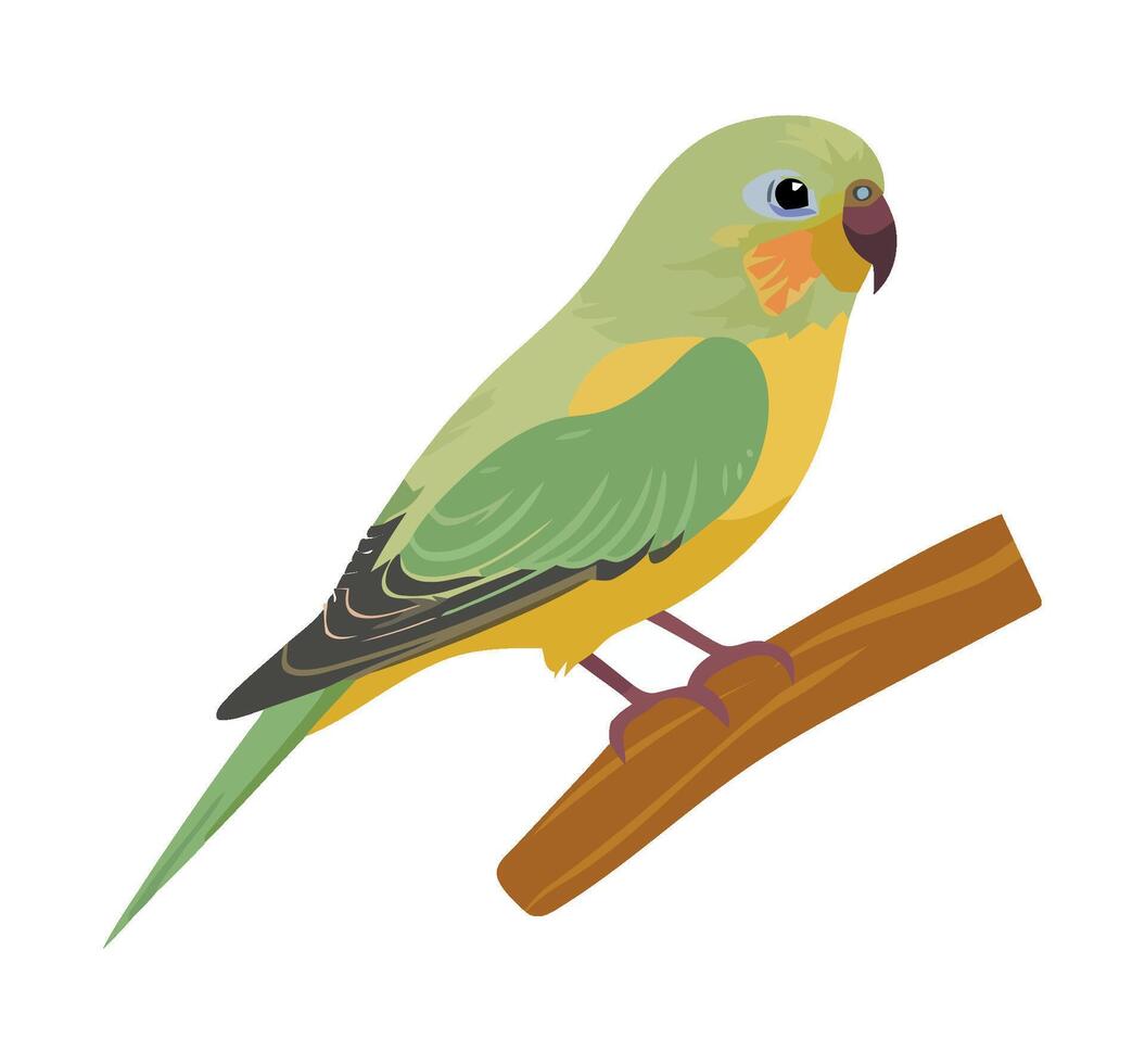 Colorful macaw perched on branch in nature icon isolated vector