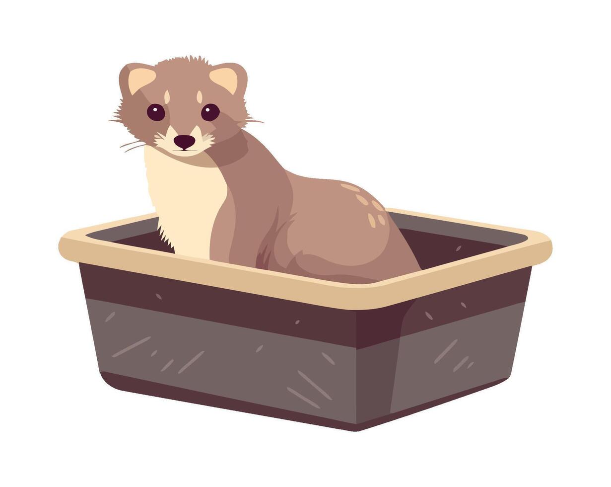 Cute ferret in a basket icon isolated vector