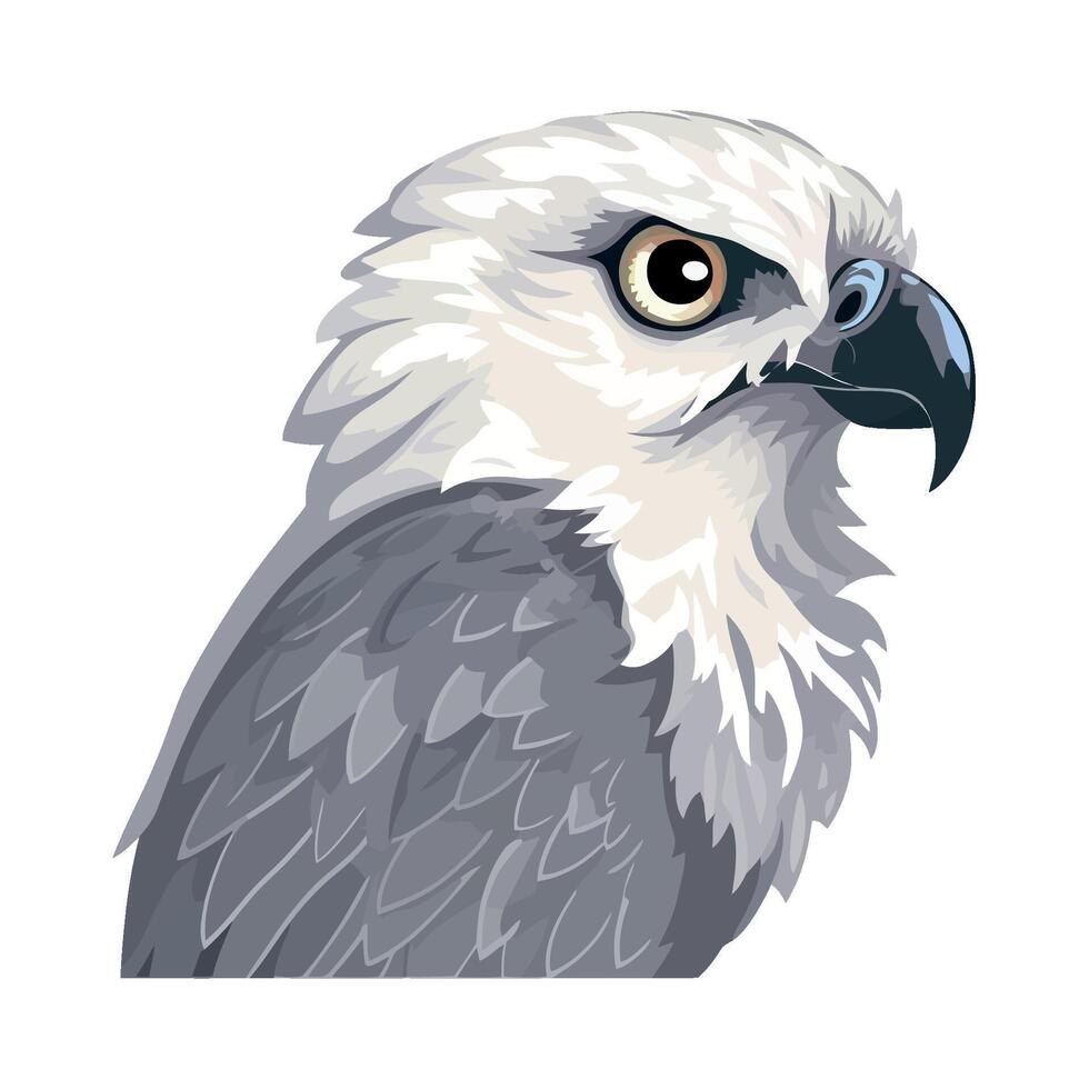 eagle bird predator icon isolated illustration vector