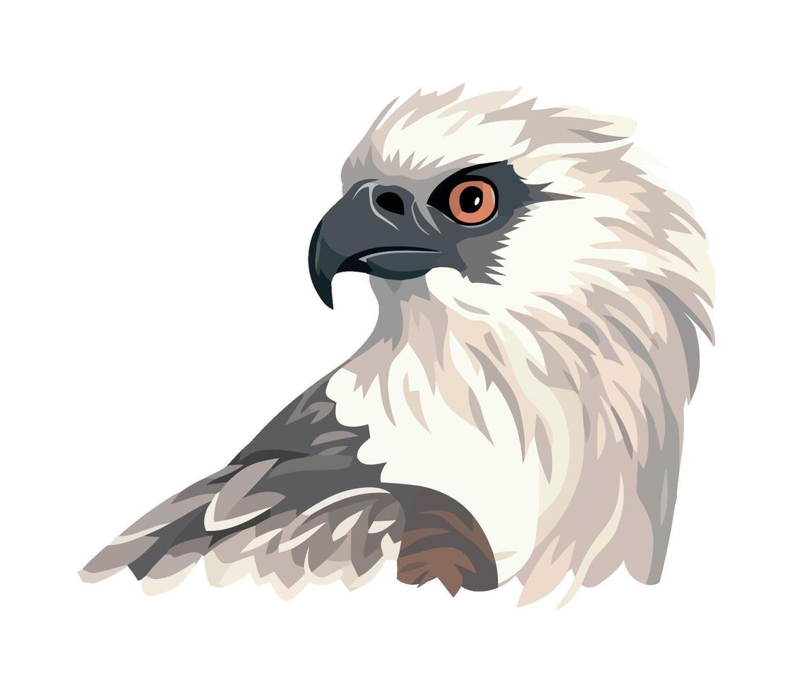 eagle animal wildlife icon isolated illustration vector