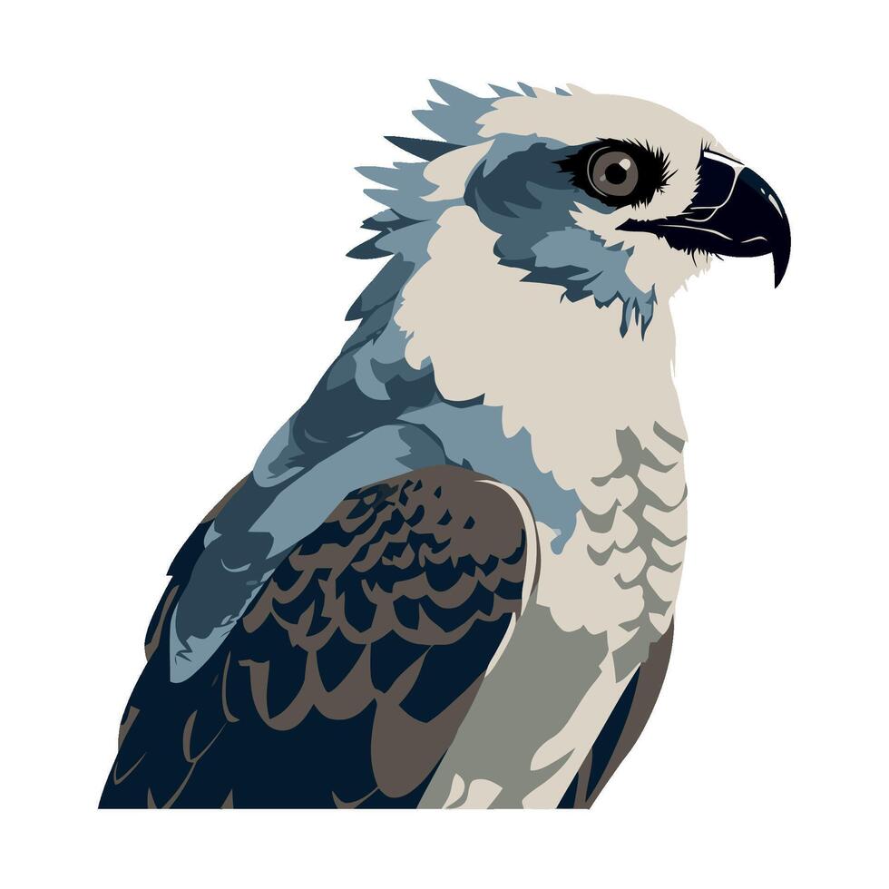 eagle wing animal icon isolated illustration vector