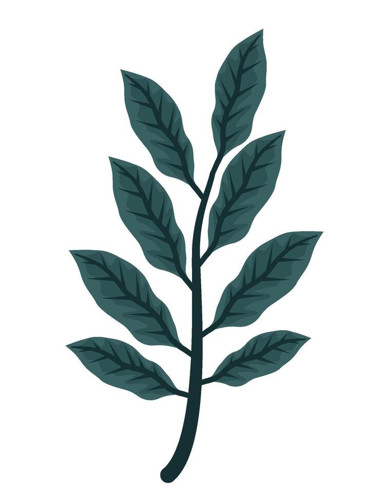 exotic leaf plant fronds illustration isolated vector