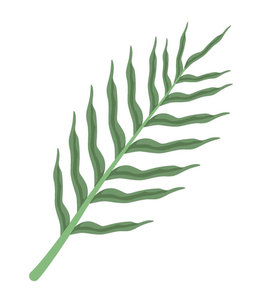 exotic leaf plant branch illustration isolated vector
