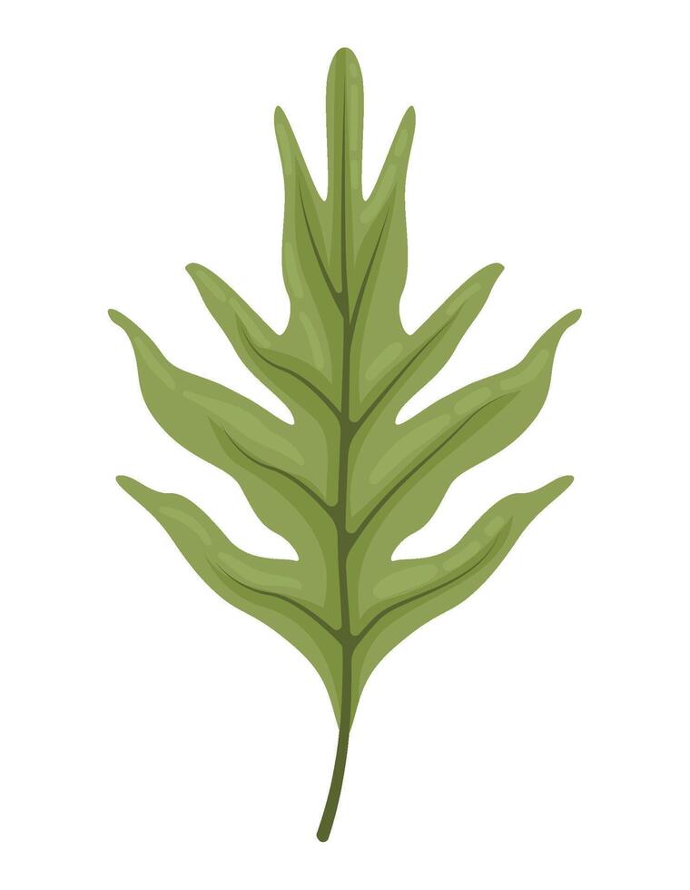 exotic leaf plant flora illustration isolated vector