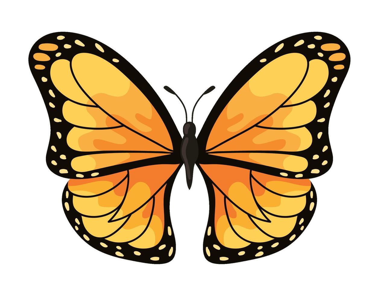 butterfly monarca illustration isolated vector