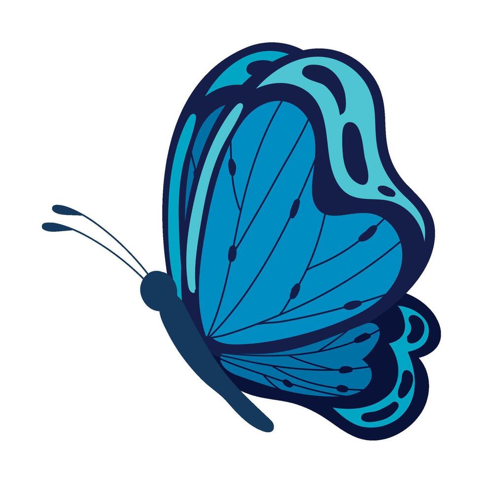 butterfly wings color blue illustration isolated vector