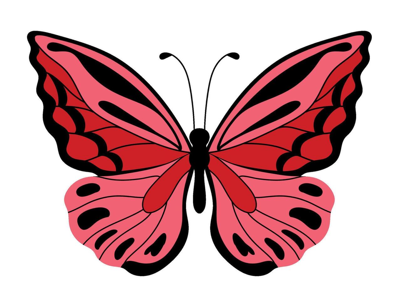 butterfly wild isolated illustration design vector