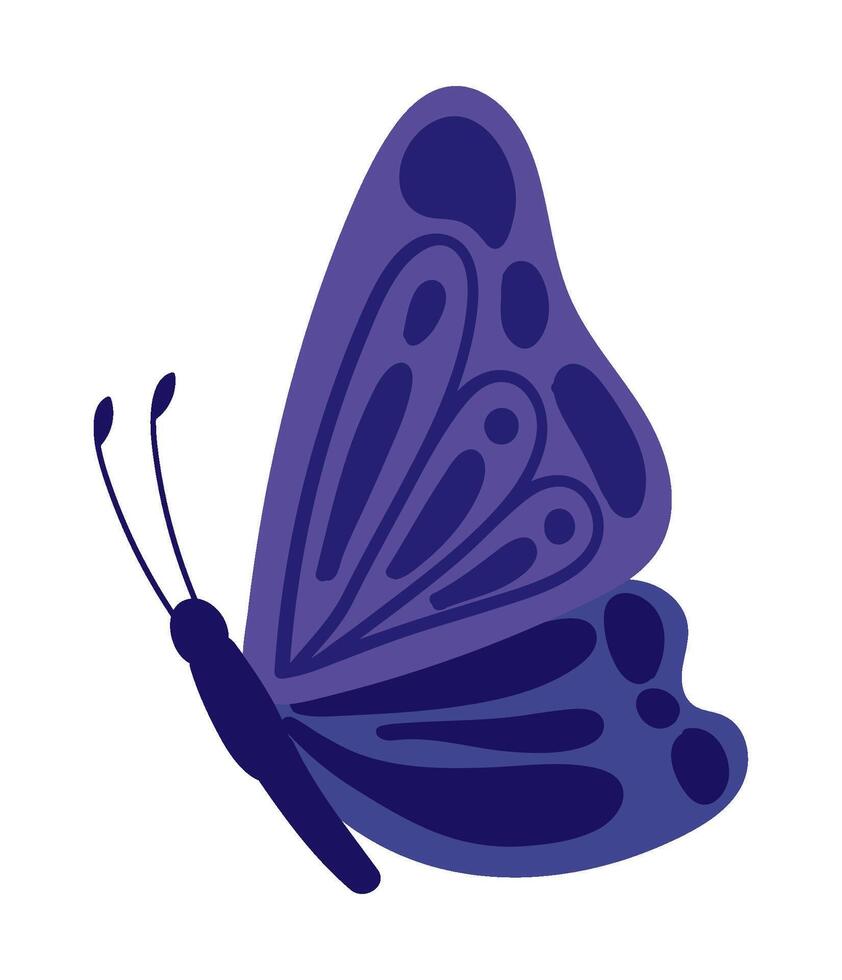 butterfly insect isolated illustration design vector