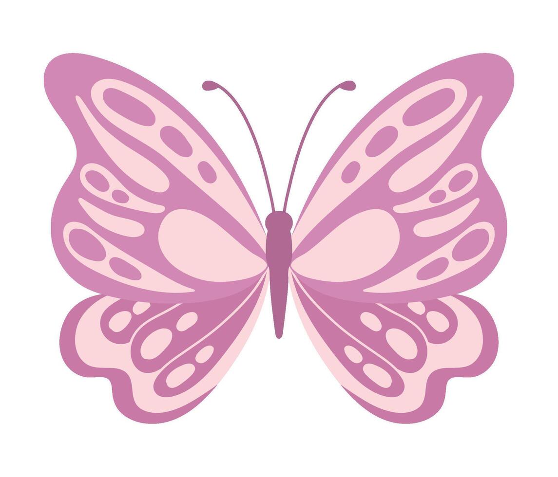 butterfly natural isolated illustration vector