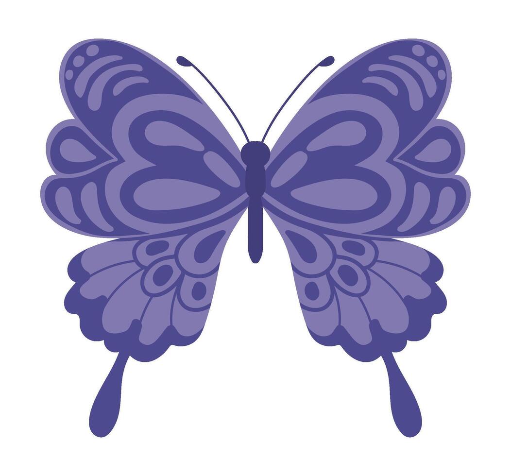 butterfly insect purple illustration isolated vector