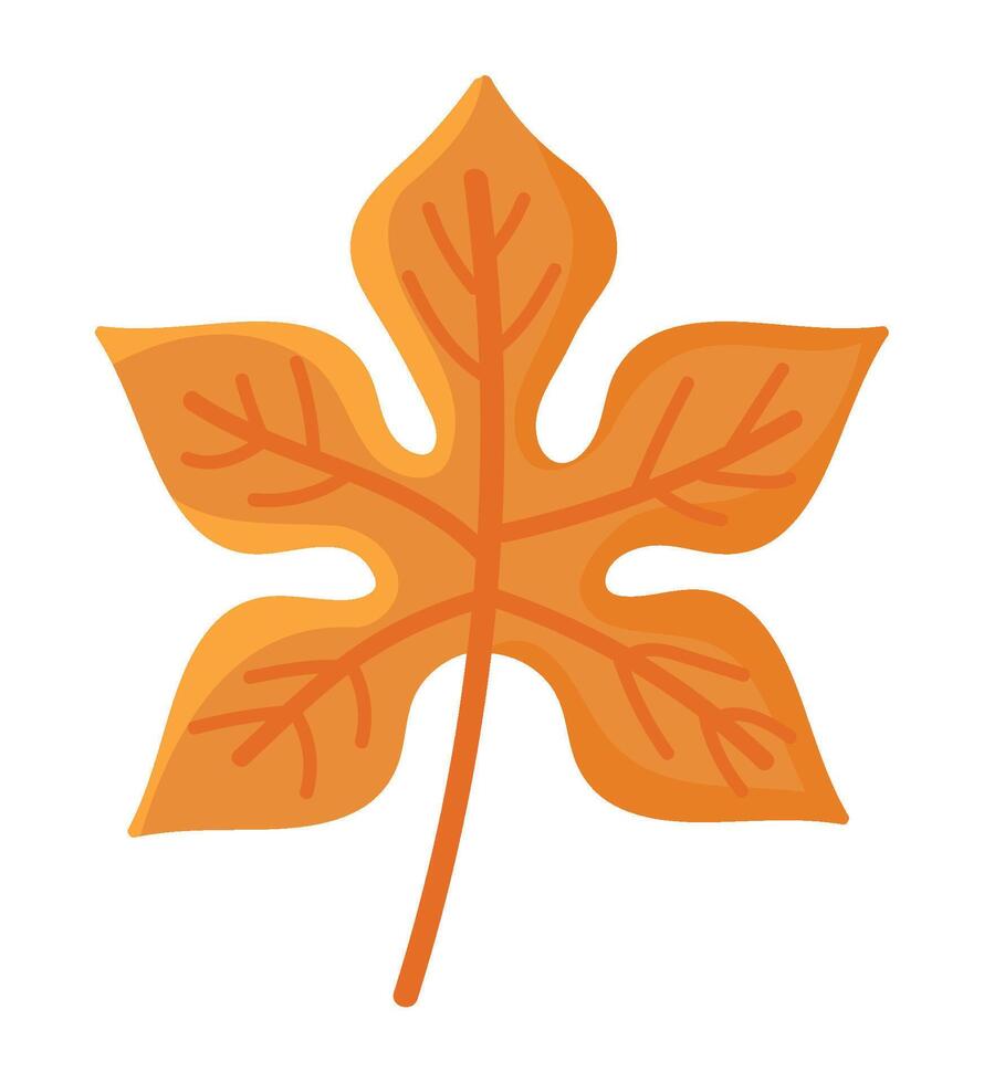 autumn season leaf design illustration isolated vector