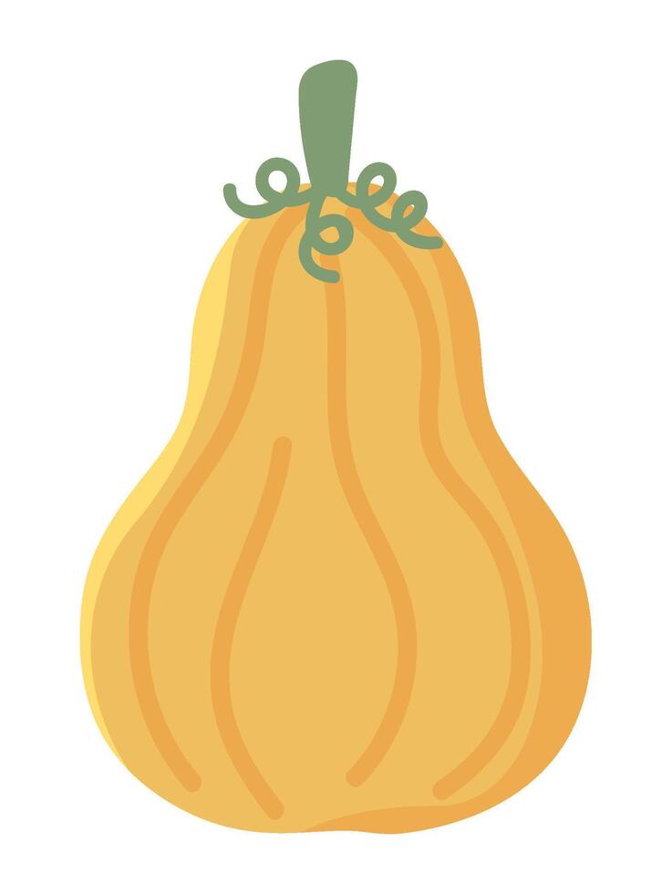 autumn season pumpkin illustration isolated vector