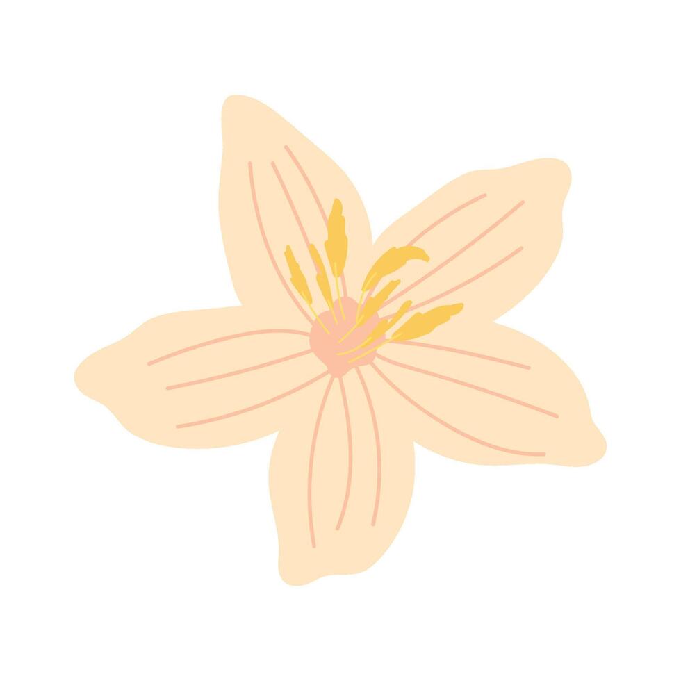 flower nature illustration isolated vector
