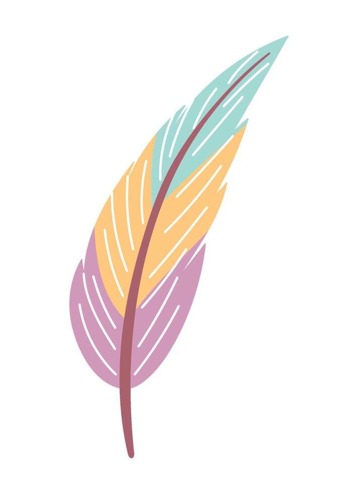 native feather ornament illustration isolated vector