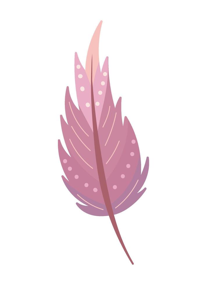 native feather decoration illustration design vector