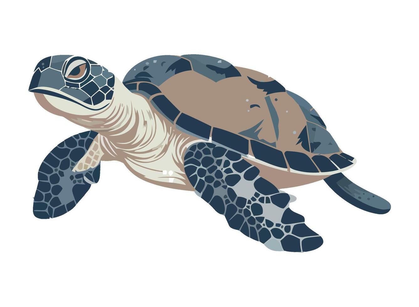 Slow turtle crawls in tropical nature background icon isolated vector