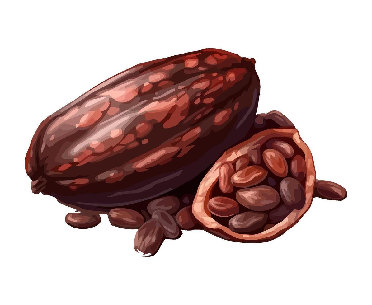 Fresh snack ripe cacao icon isolated vector