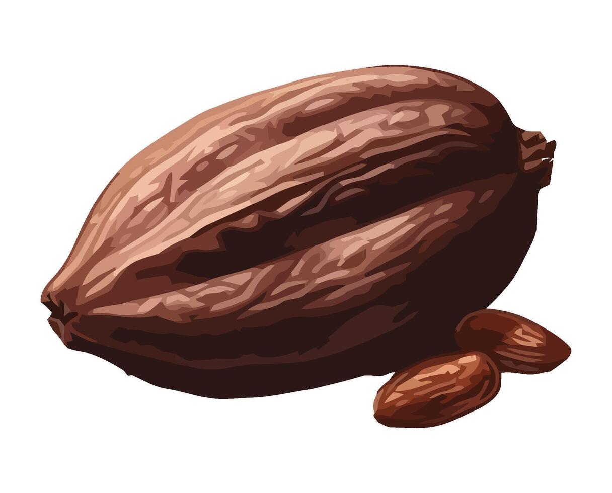 Organic cacao bean illustration on nature backdrop icon isolated vector