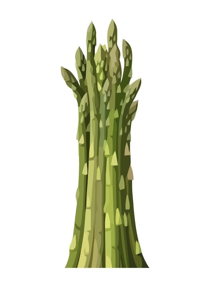 Fresh asparagus, a healthy vegetarian meal choice icon isolated vector