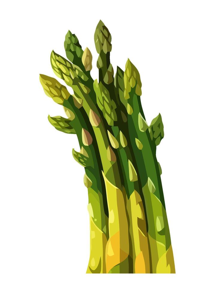 Fresh asparagus, a healthy vegetarian meal bundle icon isolated vector