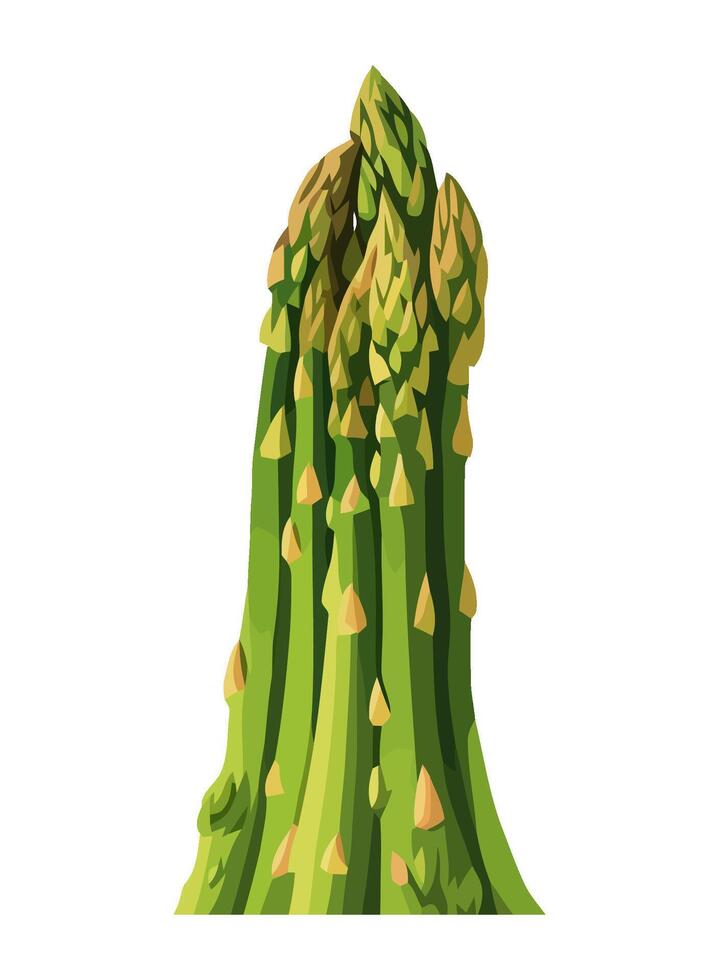 Green asparagus, fresh vegetable icon isolated vector