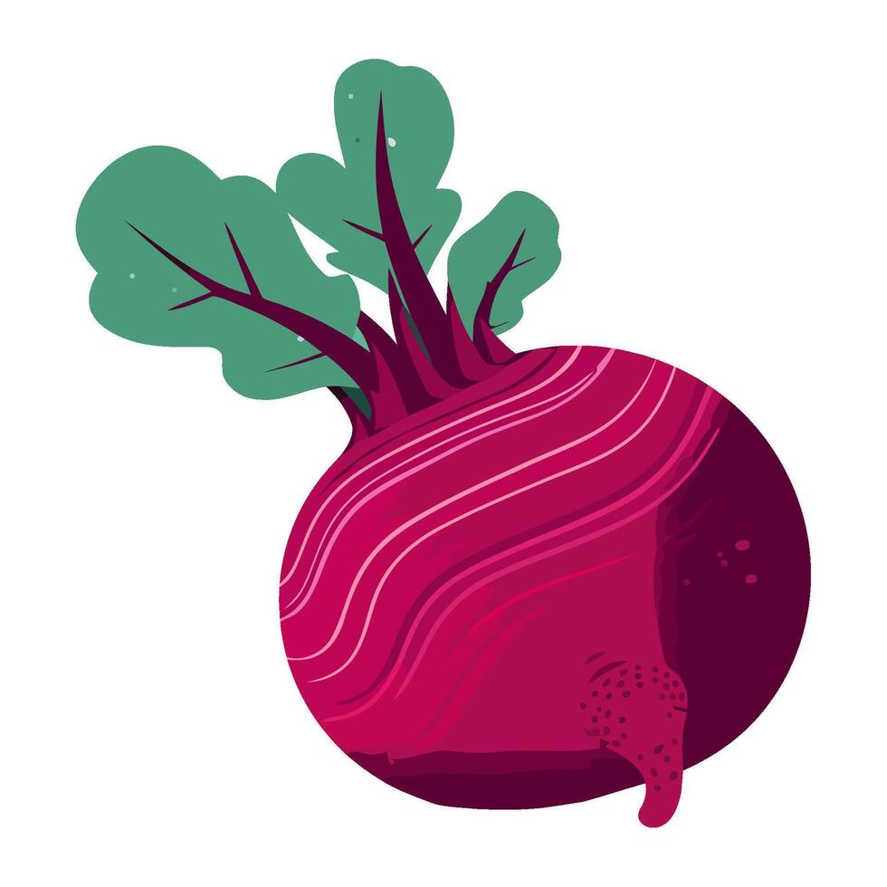 Fresh radish vegetable symbolize healthy eating icon isolated vector