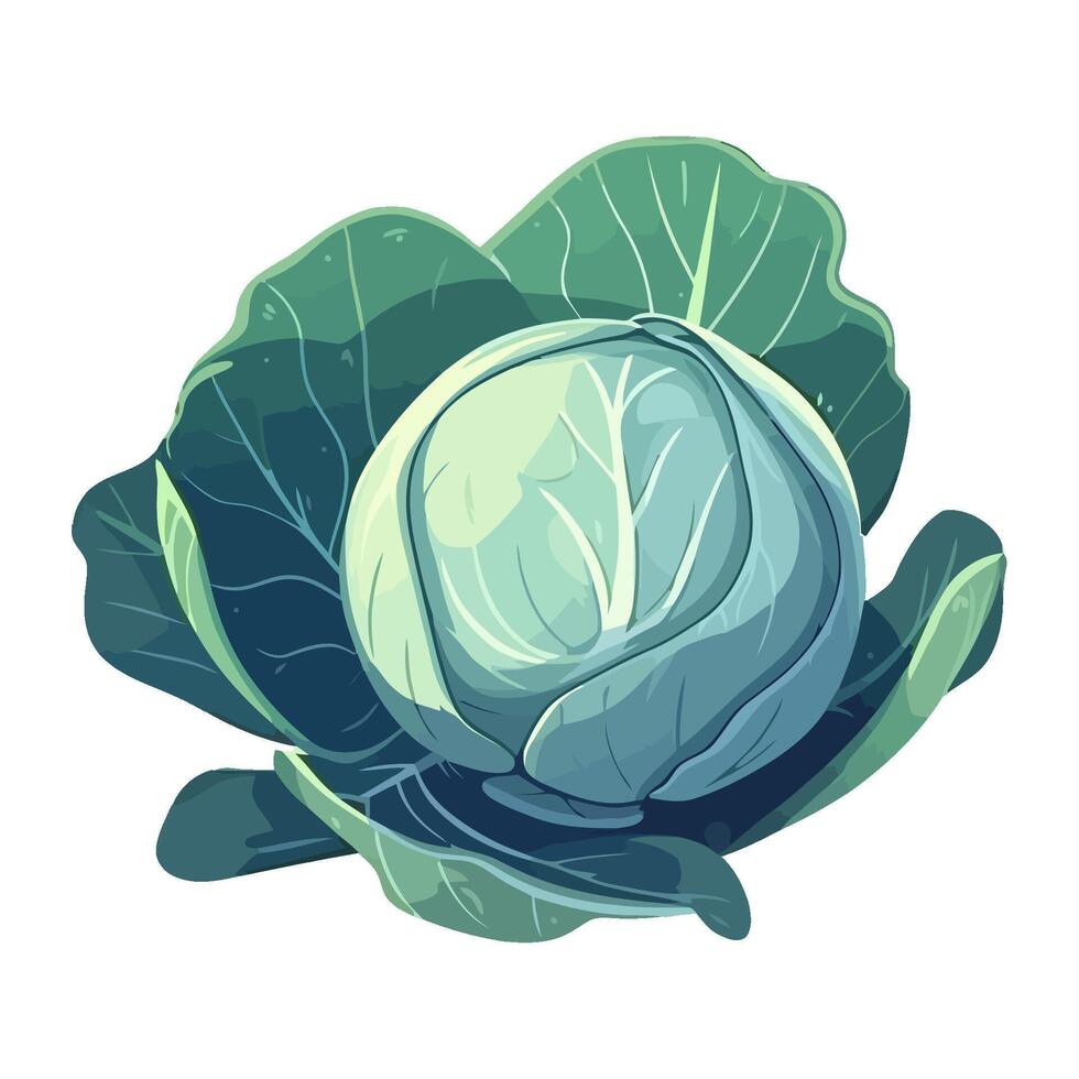 Fresh kale, ripe vegetable, healthy eating icon isolated vector