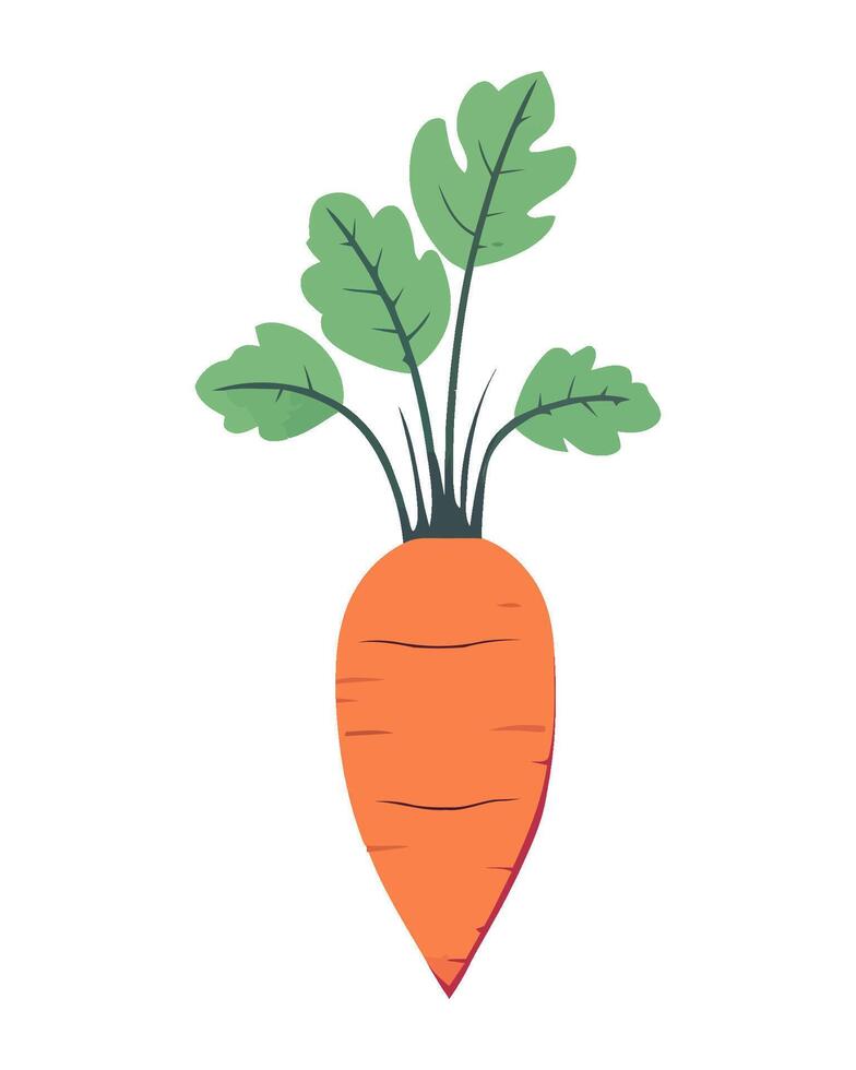 Fresh organic carrots, a symbol of healthy eating icon isolated vector