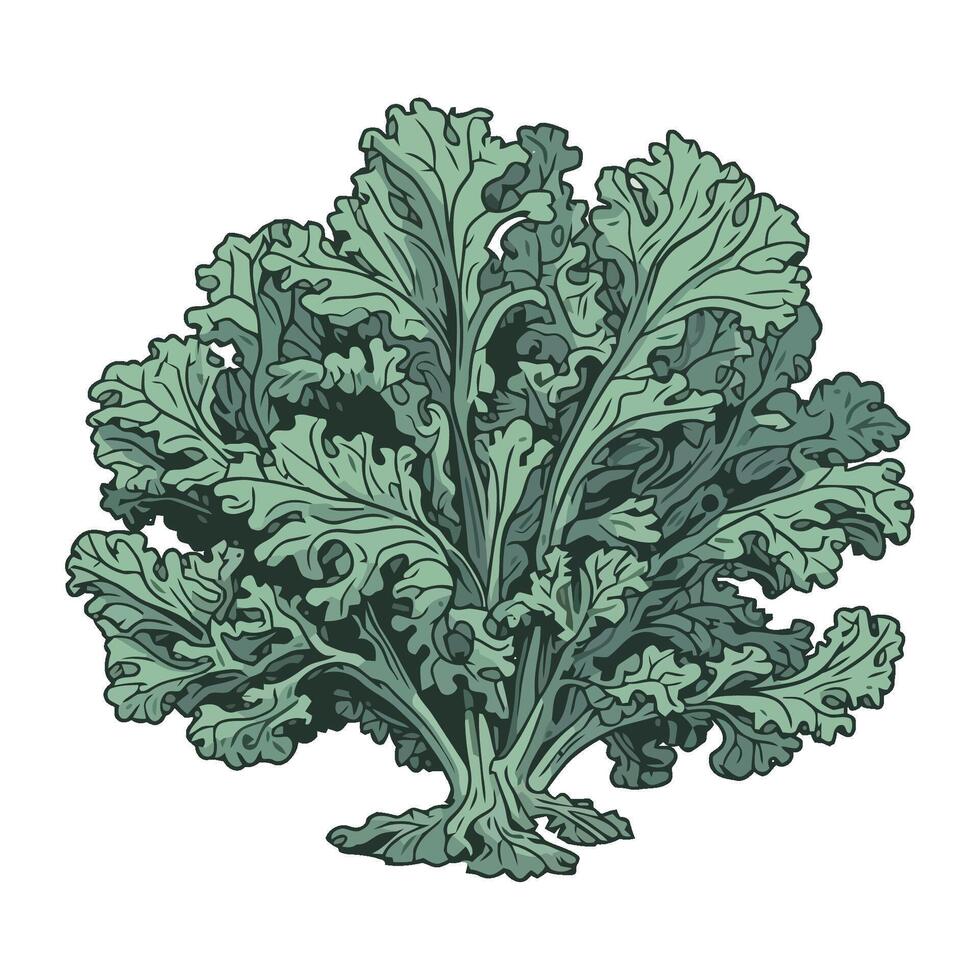 Fresh organic herbs for healthy vegetarian cooking icon isolated vector