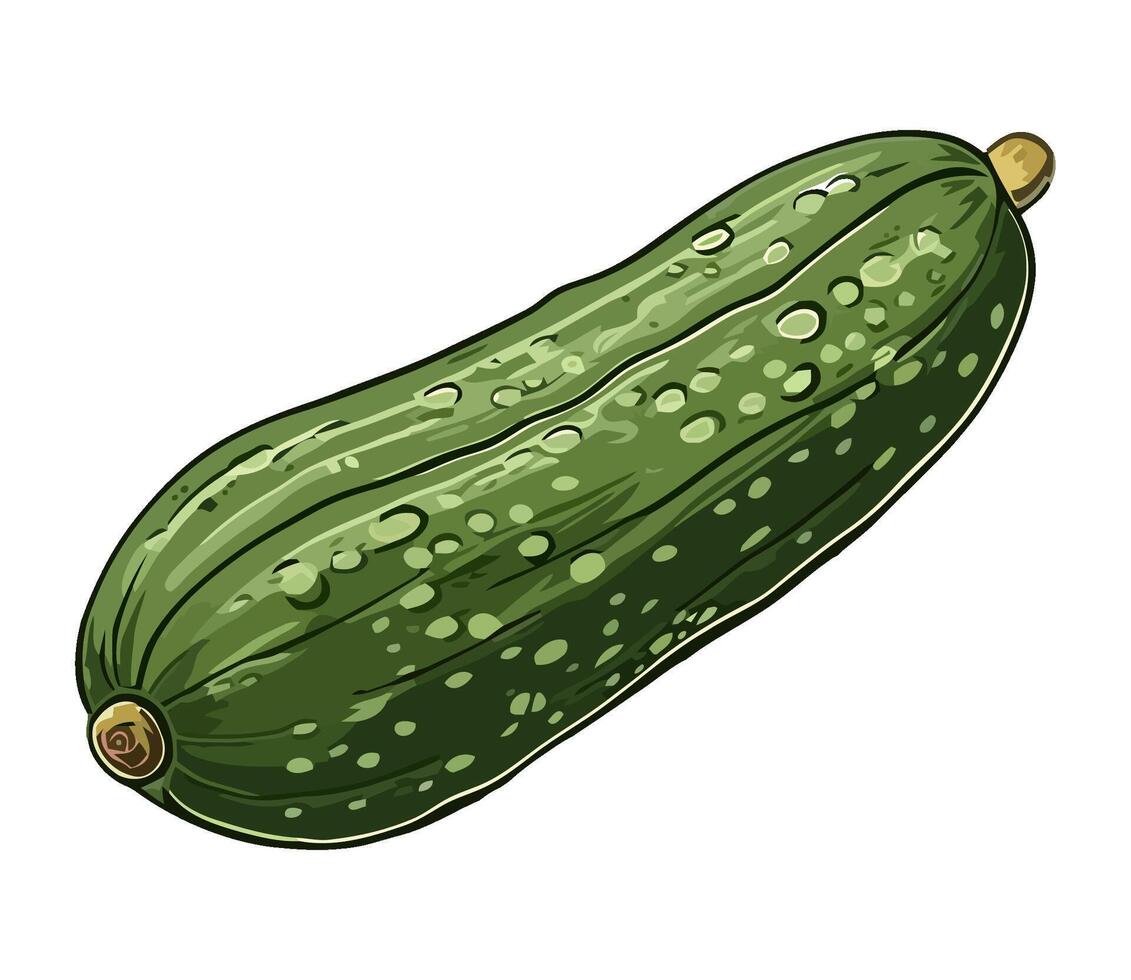 Fresh organic cucumber, a healthy vegetarian snack icon isolated vector
