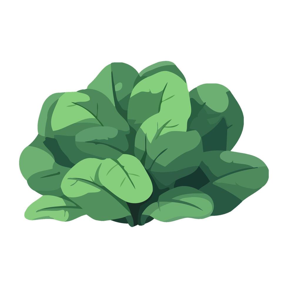 Fresh vegetarian salad, nature leaf icon isolated vector