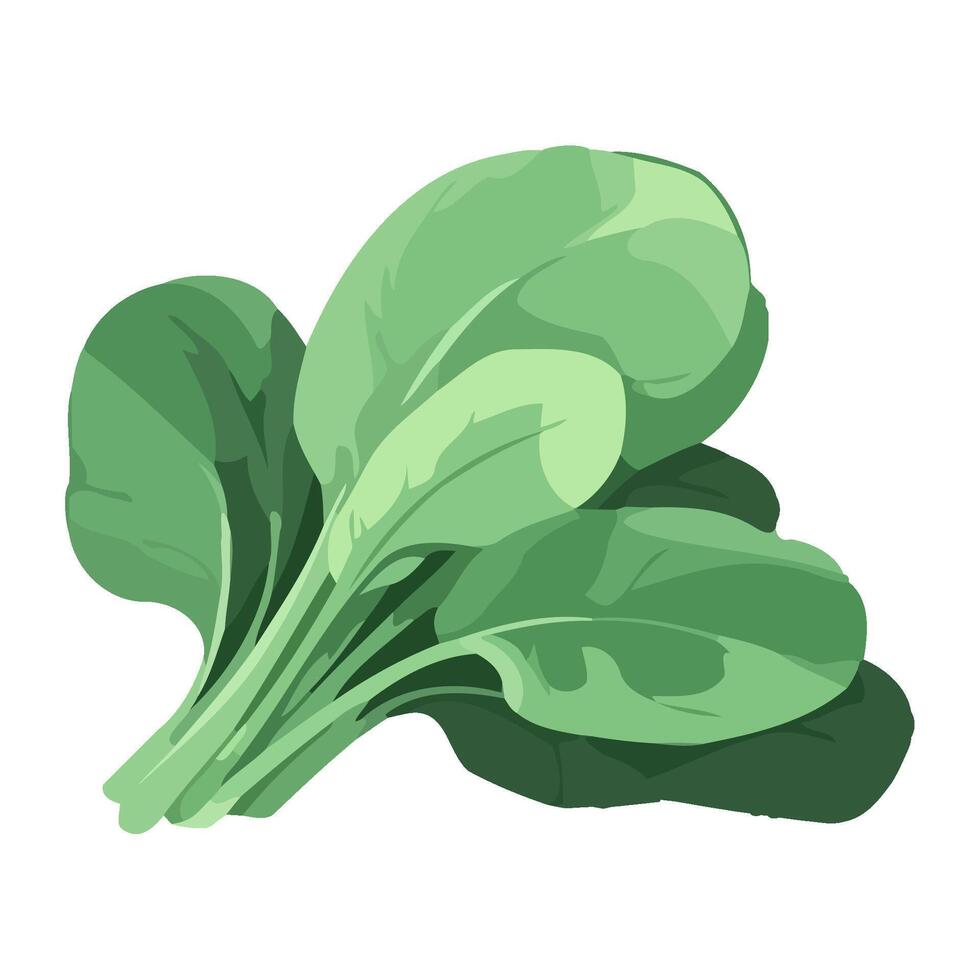 Fresh organic ingredients for a gourmet meal icon isolated vector