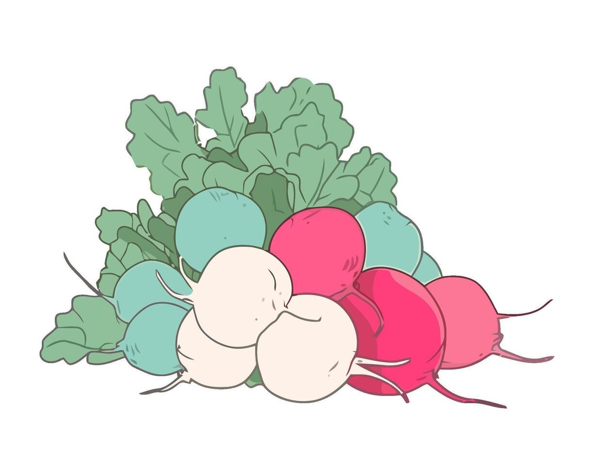 Fresh organic vegetables, a healthy vegetarian meal icon isolated vector
