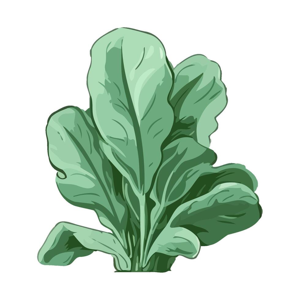 Fresh organic salad, a healthy vegetarian meal icon isolated vector