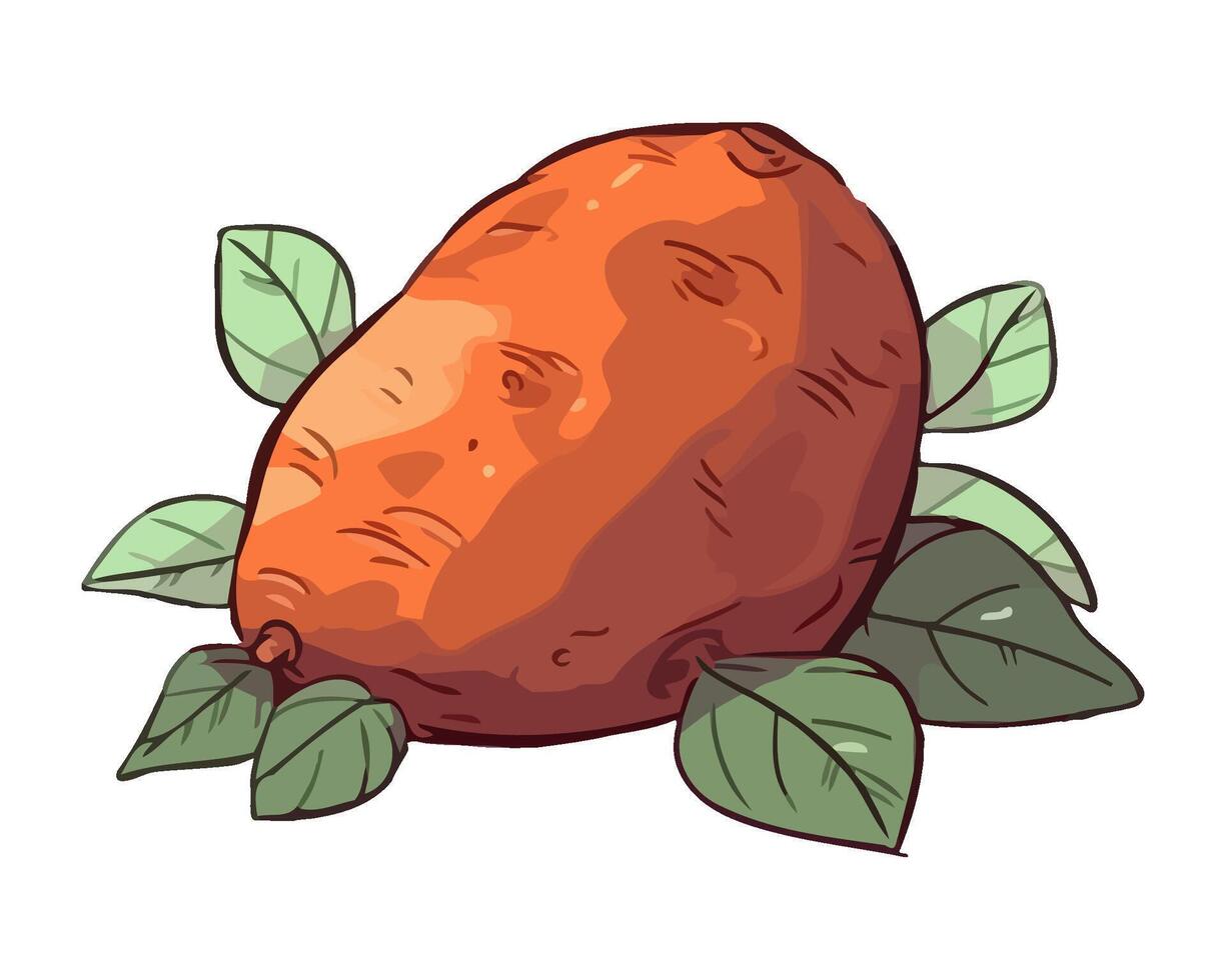 Fresh organic potato and hebs icon isolated vector