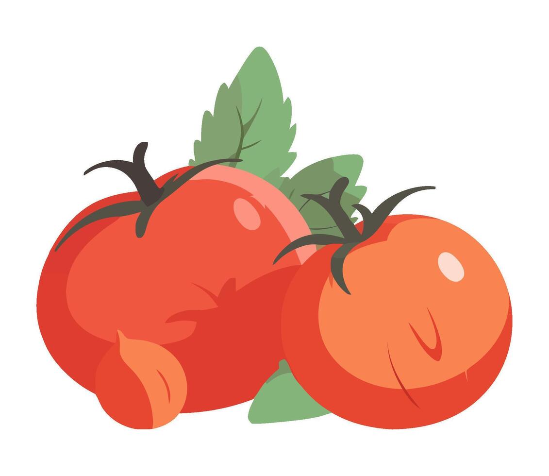 Juicy tomatoes salad, a refreshing lunch icon isolated vector