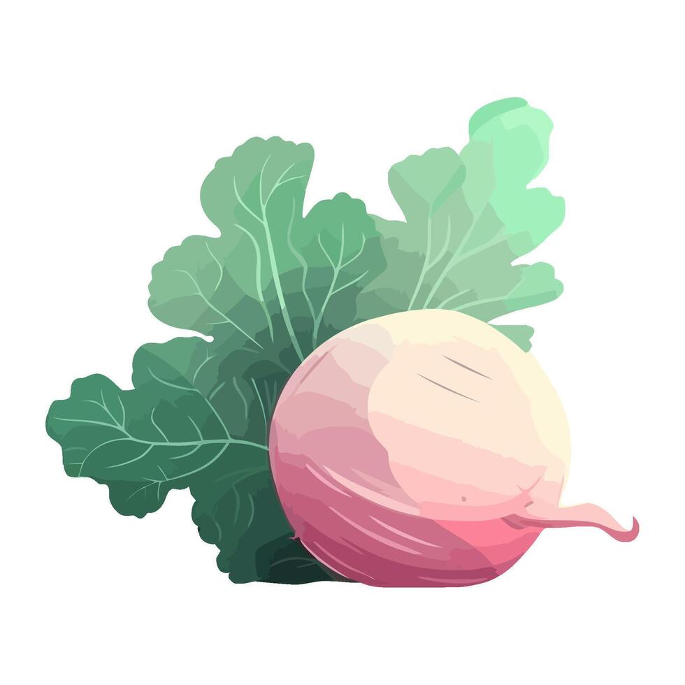 Fresh radish salad, a symbol of healthy eating icon isolated vector