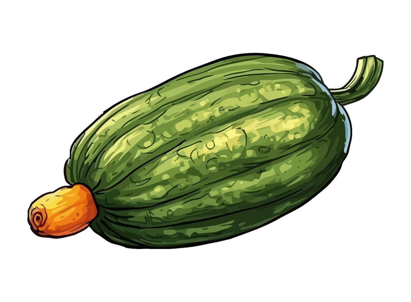 Fresh organic zucchini, a healthy vegetarian snack icon isolated vector