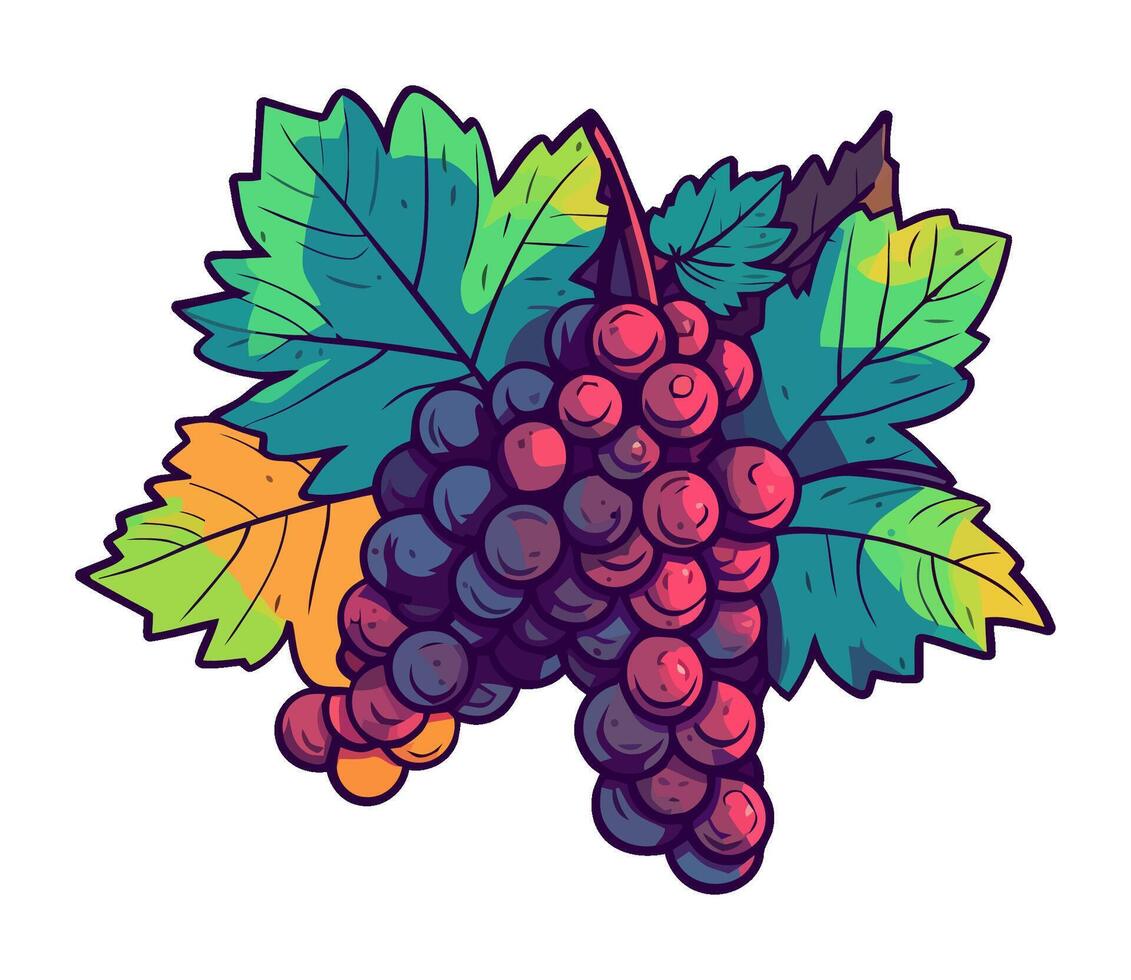 Juicy grape bunch ripe for autumn harvest icon isolated vector