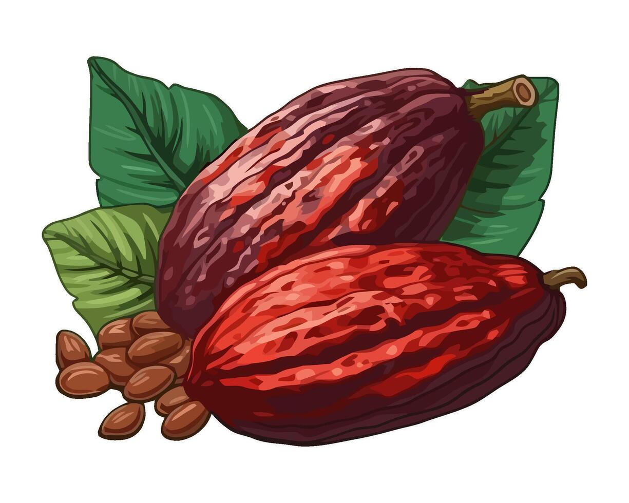 Healthy eating with fresh organic cacao icon isolated vector