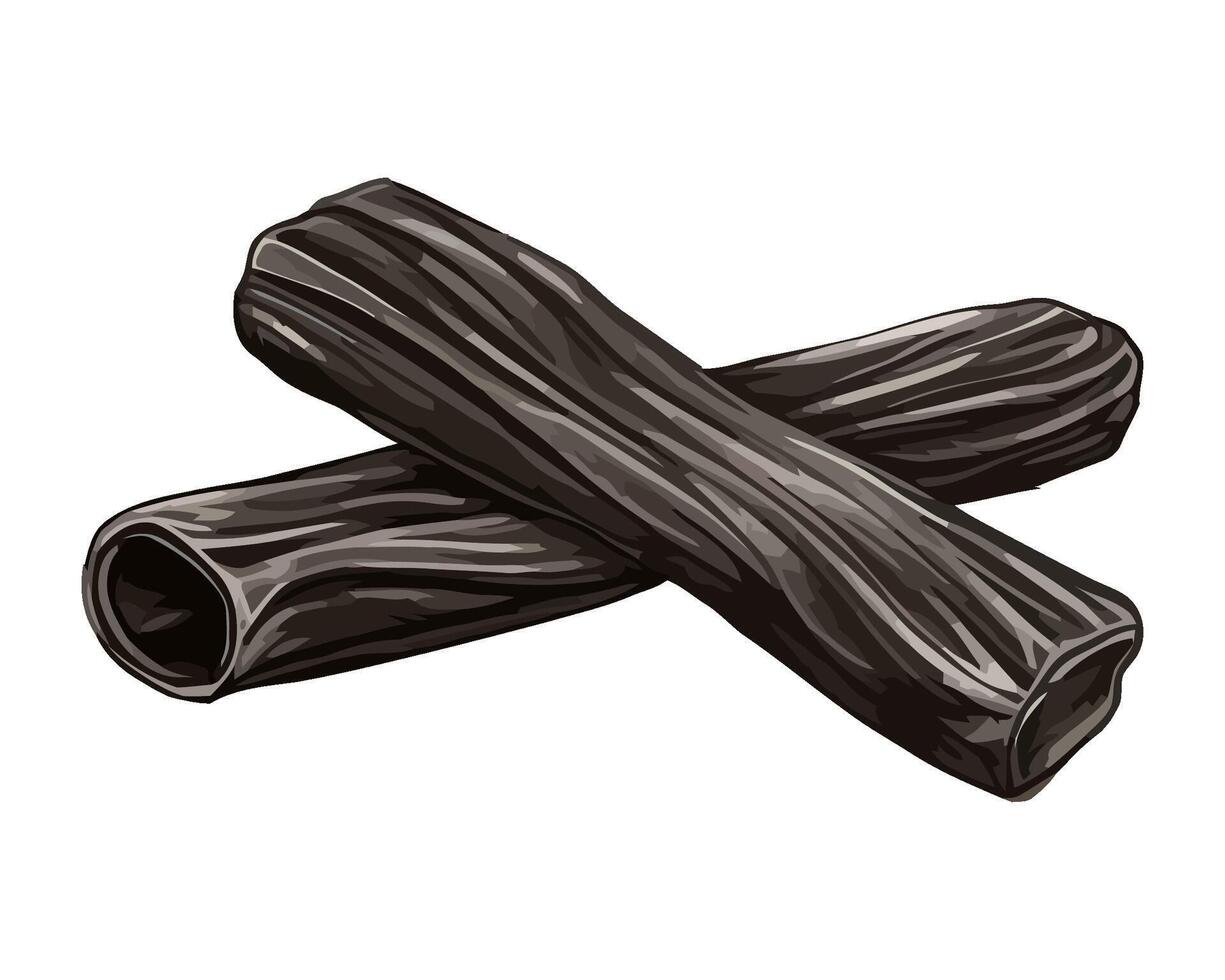Fresh herbs licorice root icon isolated vector