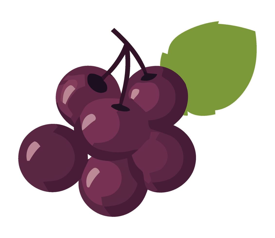 Juicy grape bunch, ripe for healthy eating icon isolated vector