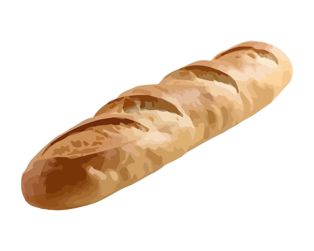 Freshly baked baguette on white background icon isolated vector