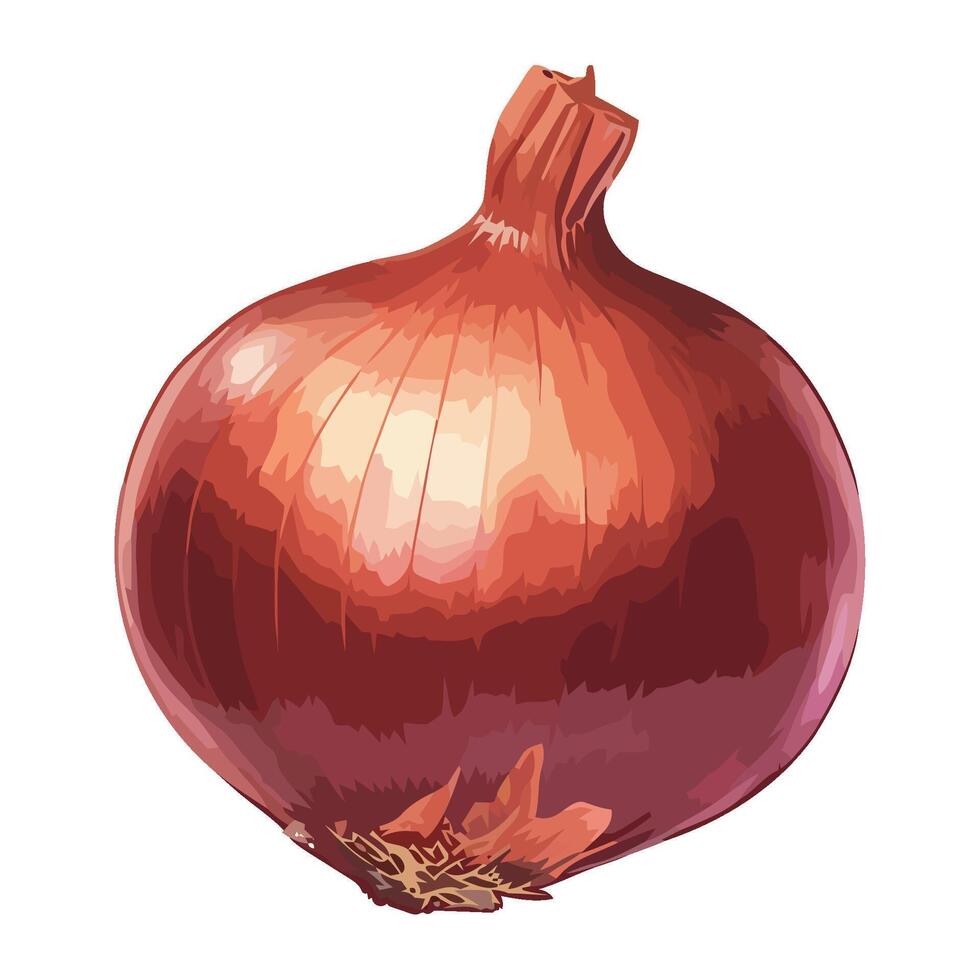 Fresh organic onion for healthy meals icon isolated vector